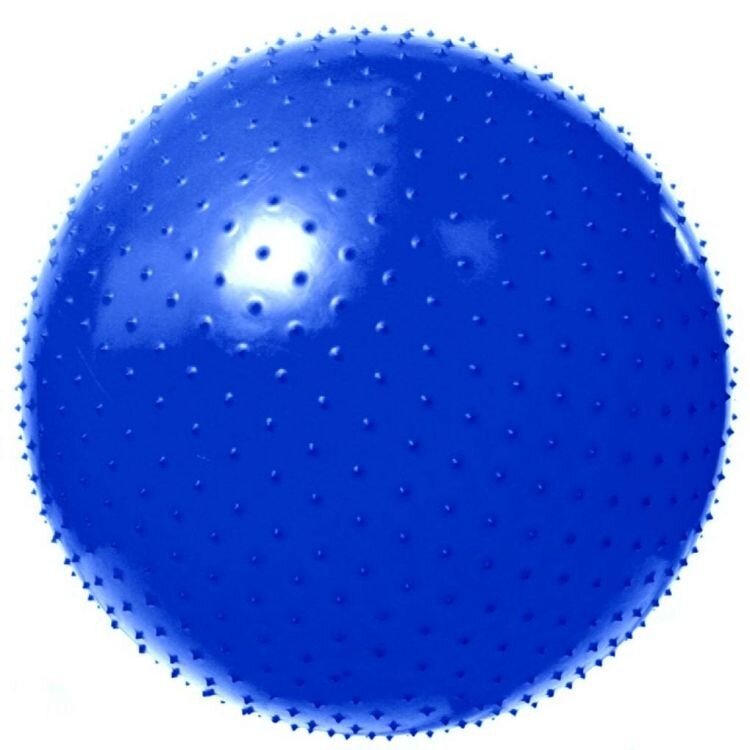 Мяч гимнастический игольчатый диаметр 65см VEGA-602/65