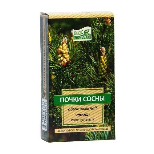 Сосны почки 50 г