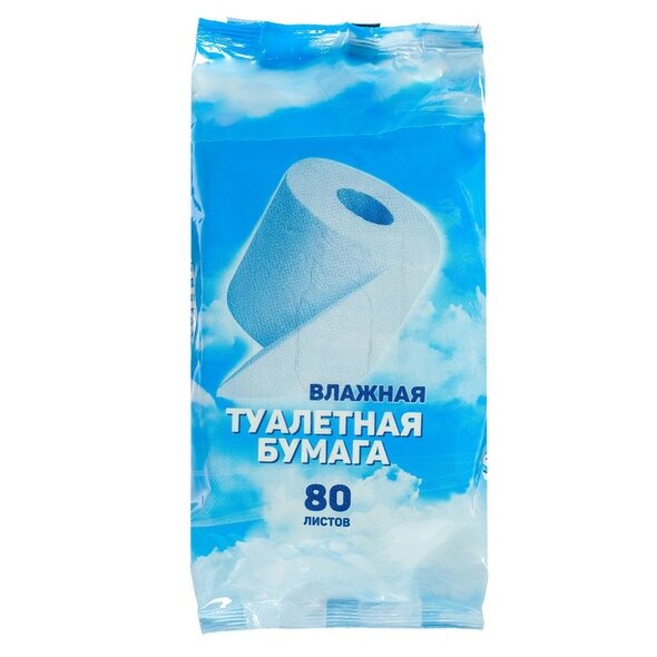 Влажная туалетная бумага Day Spa 80 шт.