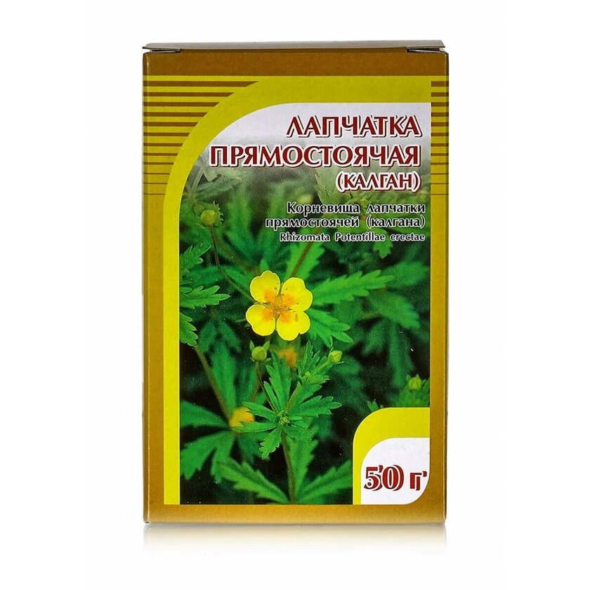 Лапчатка прямостоячая корневища (Калган) 50 г