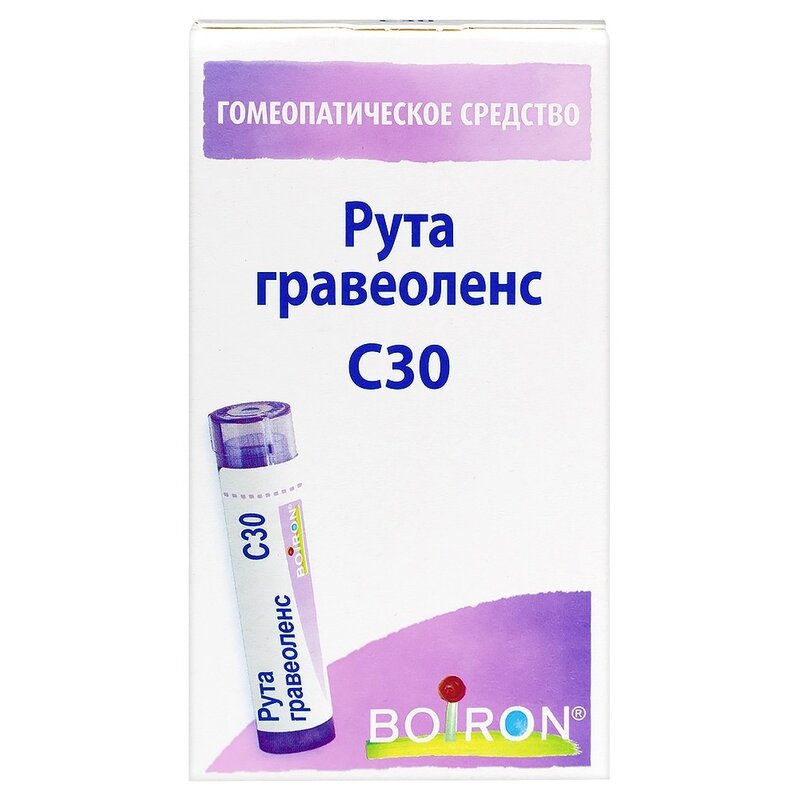 Рута гравеоленс