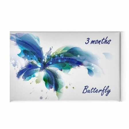 Контактные линзы цветные Офтальмикс Butterfly 3-Color зеленый D - 0.00 DIA 14.2 x1