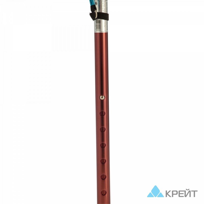 Трость Dayang Medical TS710