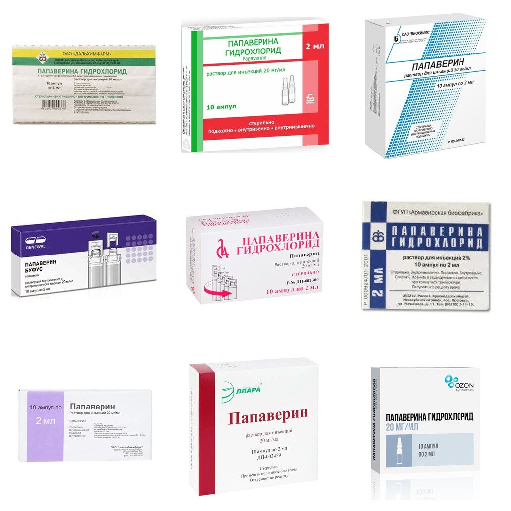 Папаверина гидрохлорид раствор для инъекций 20 мг/мл ампулы 2 мл 10 шт. (любой производитель)