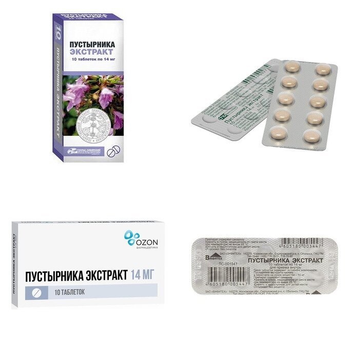Пустырника экстракт таблетки 14 мг 10 шт. (любой производитель)