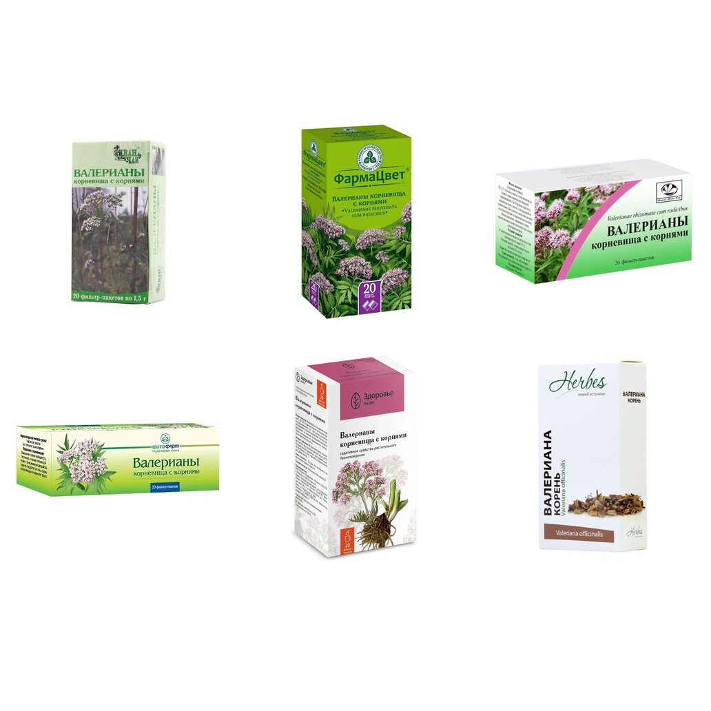 Валерианы корневища с корнями фильтр-пакеты 1,5 г 20 шт. (любой производитель)