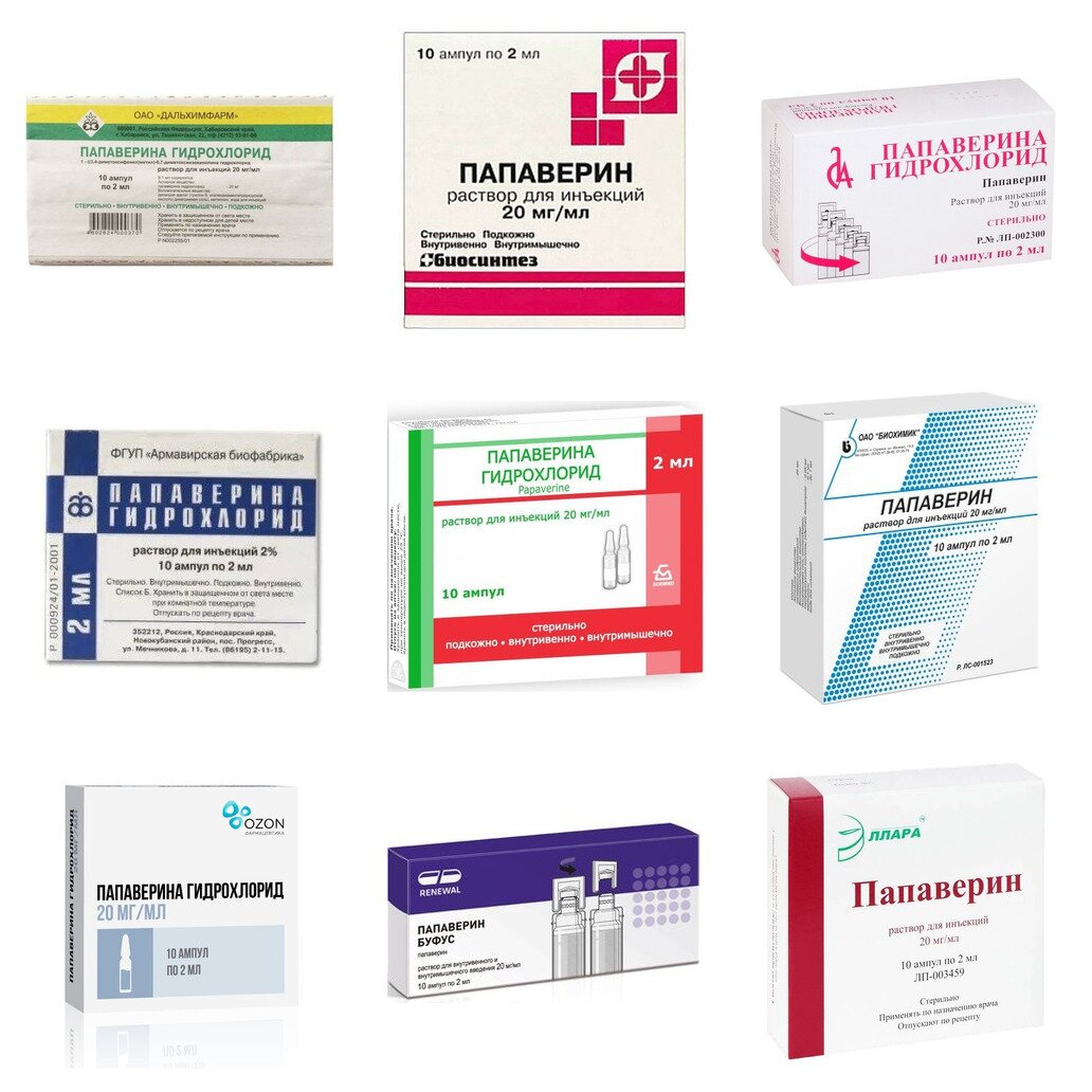 Папаверина гидрохлорид раствор для инъекций 20 мг/мл ампулы 2 мл 10 шт. (любой производитель)