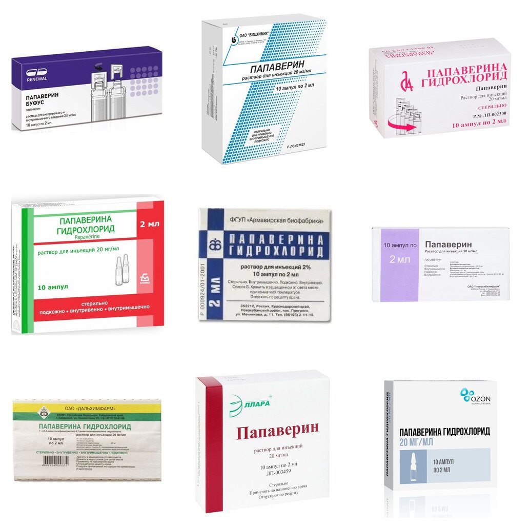 Папаверина гидрохлорид раствор для инъекций 20 мг/мл ампулы 2 мл 10 шт. (любой производитель)