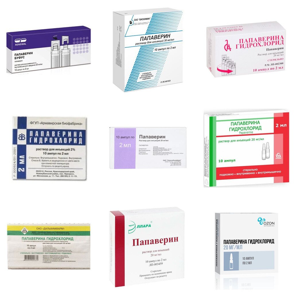 Папаверина гидрохлорид раствор для инъекций 20 мг/мл ампулы 2 мл 10 шт. (любой производитель)