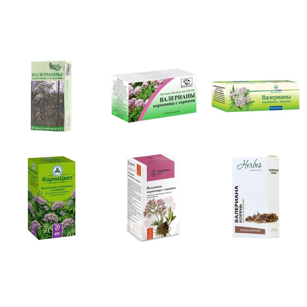 Валерианы корневища с корнями фильтр-пакеты 1,5 г 20 шт. (любой производитель)