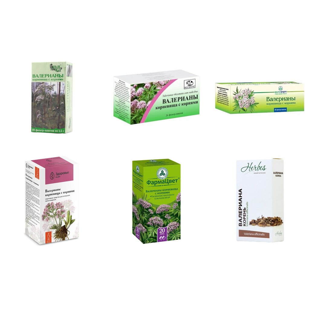 Валерианы корневища с корнями фильтр-пакеты 1,5 г 20 шт. (любой производитель)