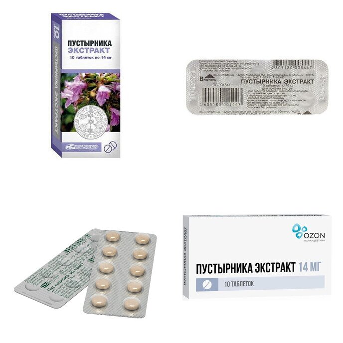 Пустырника экстракт таблетки 14 мг 10 шт. (любой производитель)