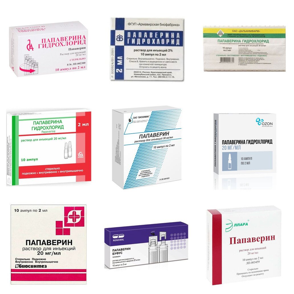 Папаверина гидрохлорид раствор для инъекций 20 мг/мл ампулы 2 мл 10 шт. (любой производитель)