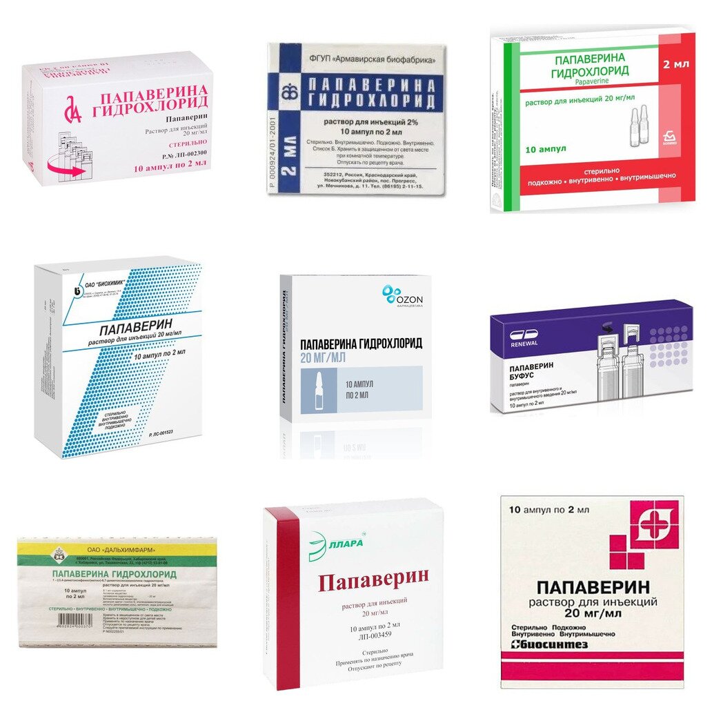 Папаверина гидрохлорид раствор для инъекций 20 мг/мл ампулы 2 мл 10 шт. (любой производитель)