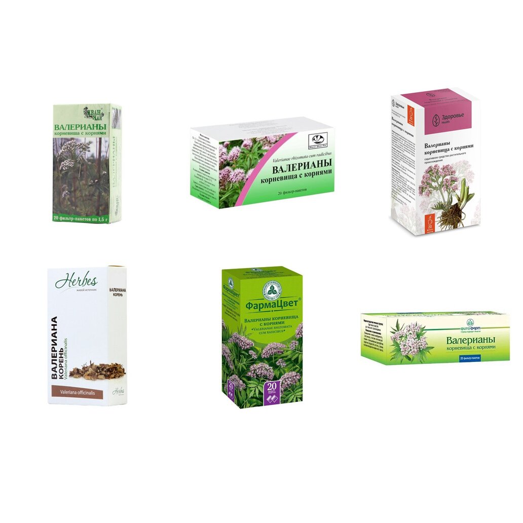 Валерианы корневища с корнями фильтр-пакеты 1,5 г 20 шт. (любой производитель)