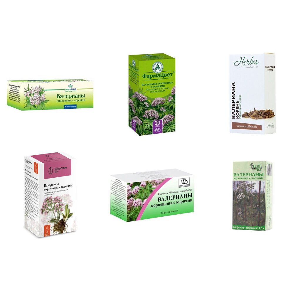 Валерианы корневища с корнями фильтр-пакеты 1,5 г 20 шт. (любой производитель)
