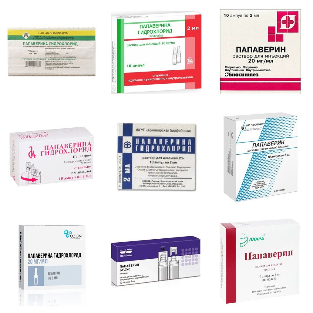 Папаверина гидрохлорид раствор для инъекций 20 мг/мл ампулы 2 мл 10 шт. (любой производитель)