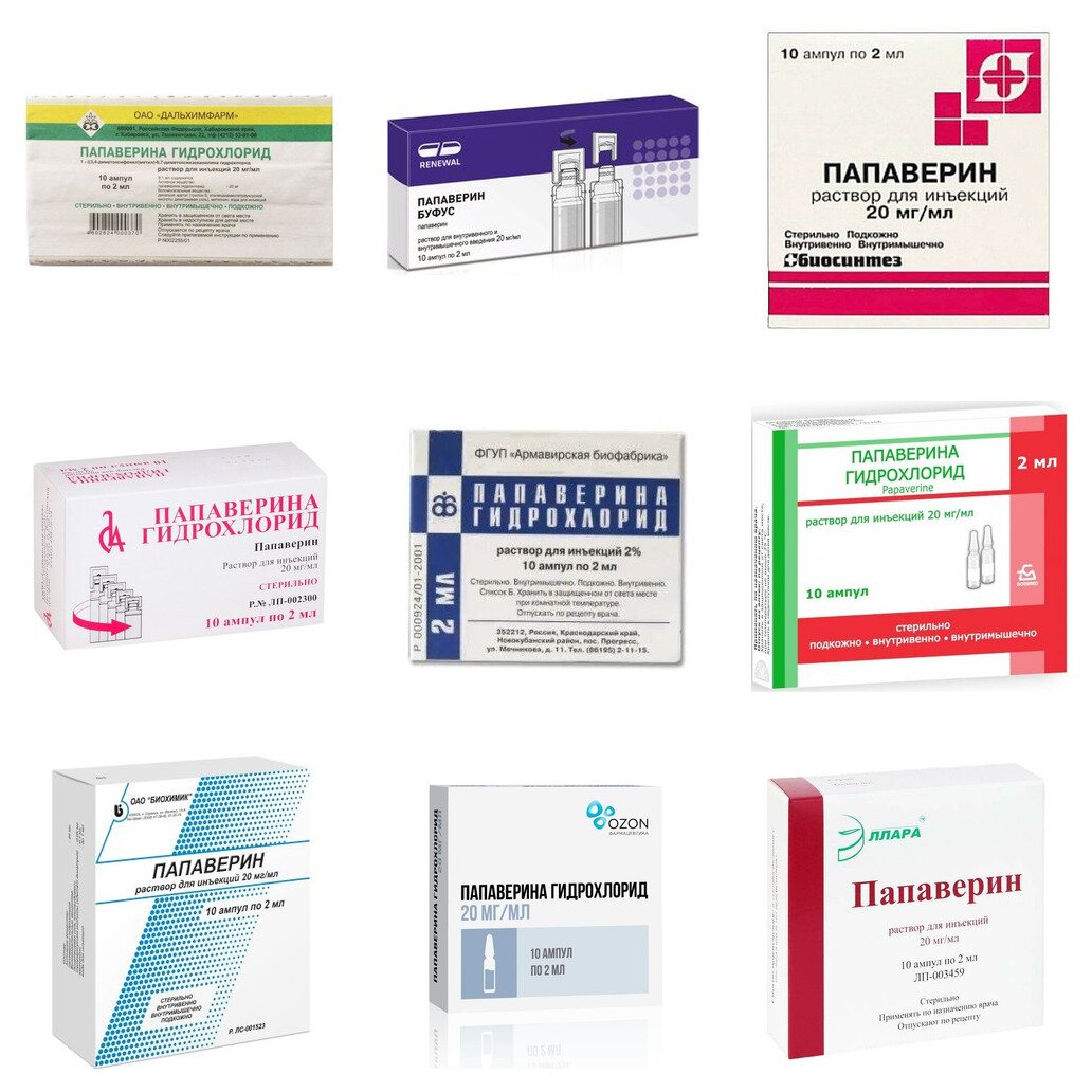 Папаверина гидрохлорид раствор для инъекций 20 мг/мл ампулы 2 мл 10 шт. (любой производитель)