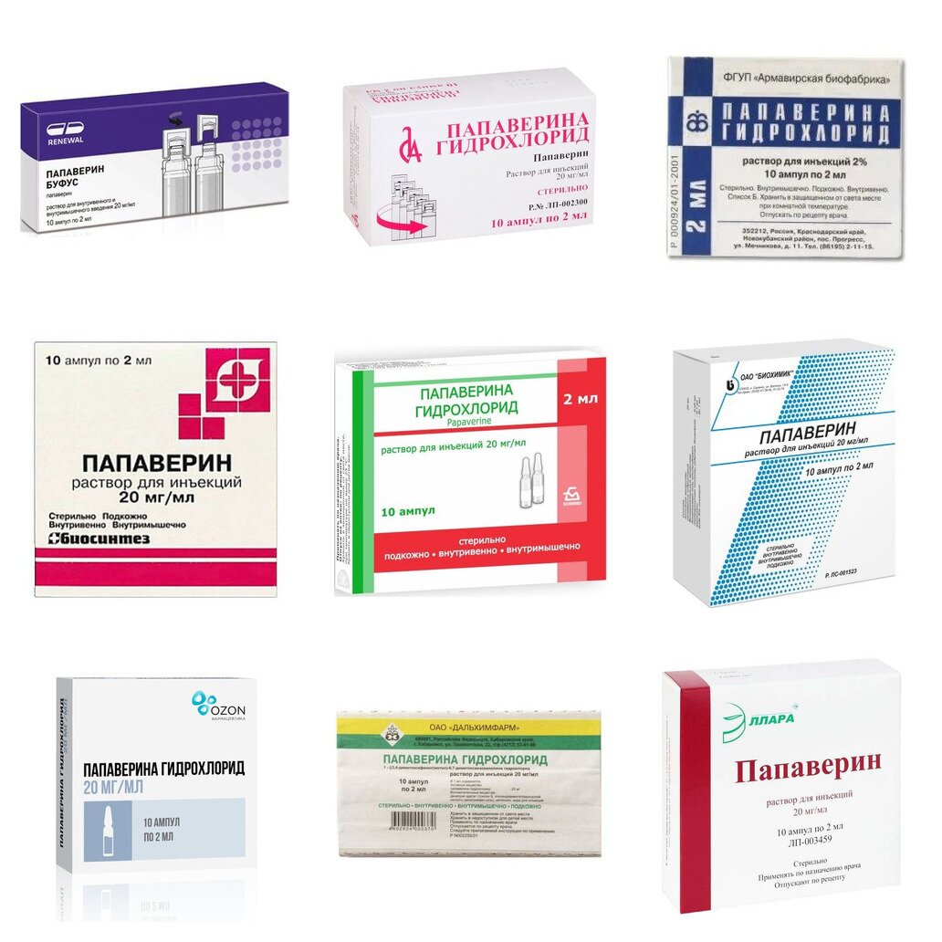 Папаверина гидрохлорид раствор для инъекций 20 мг/мл ампулы 2 мл 10 шт. (любой производитель)