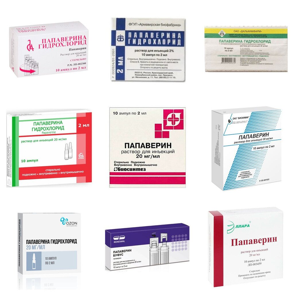Папаверина гидрохлорид раствор для инъекций 20 мг/мл ампулы 2 мл 10 шт. (любой производитель)