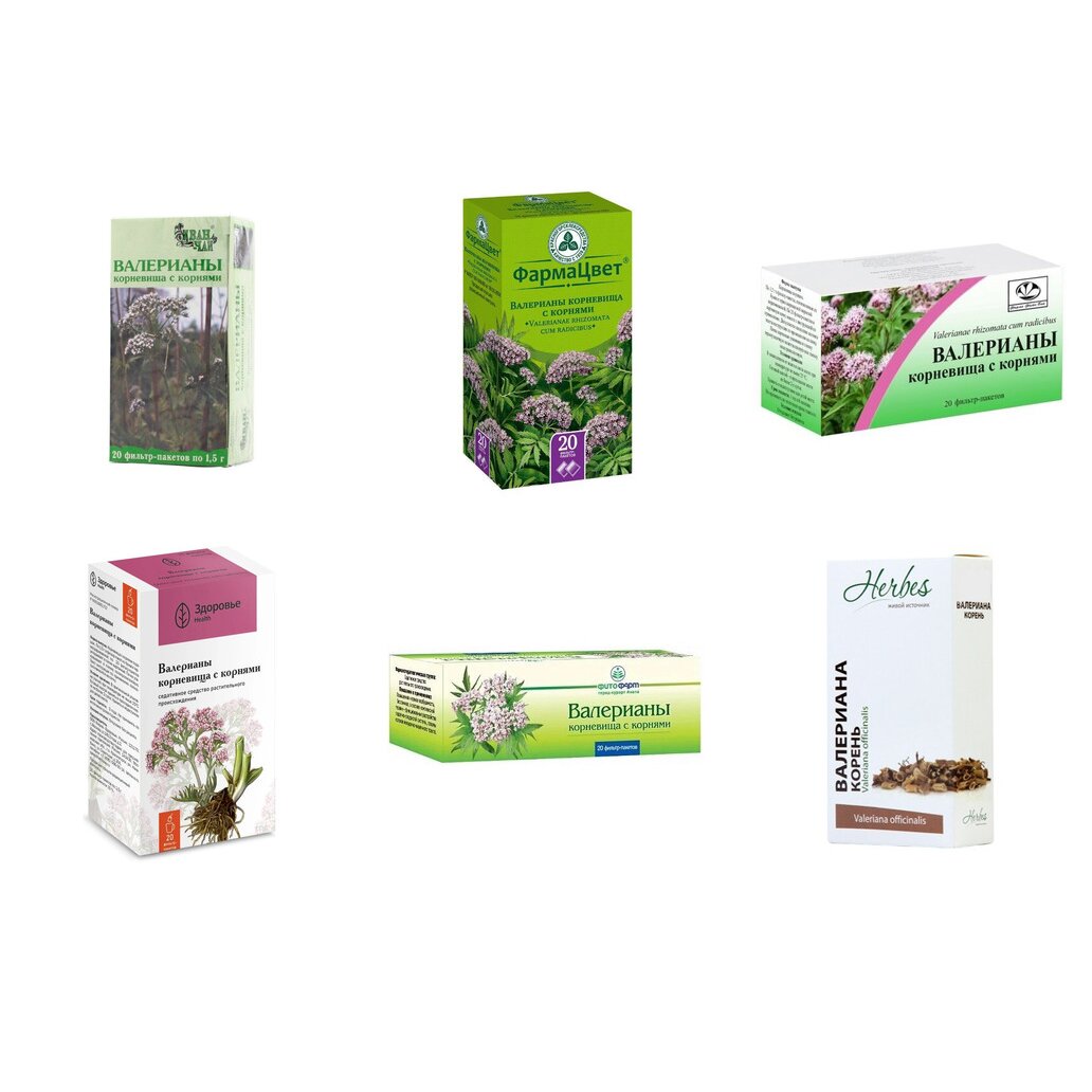Валерианы корневища с корнями фильтр-пакеты 1,5 г 20 шт. (любой производитель)