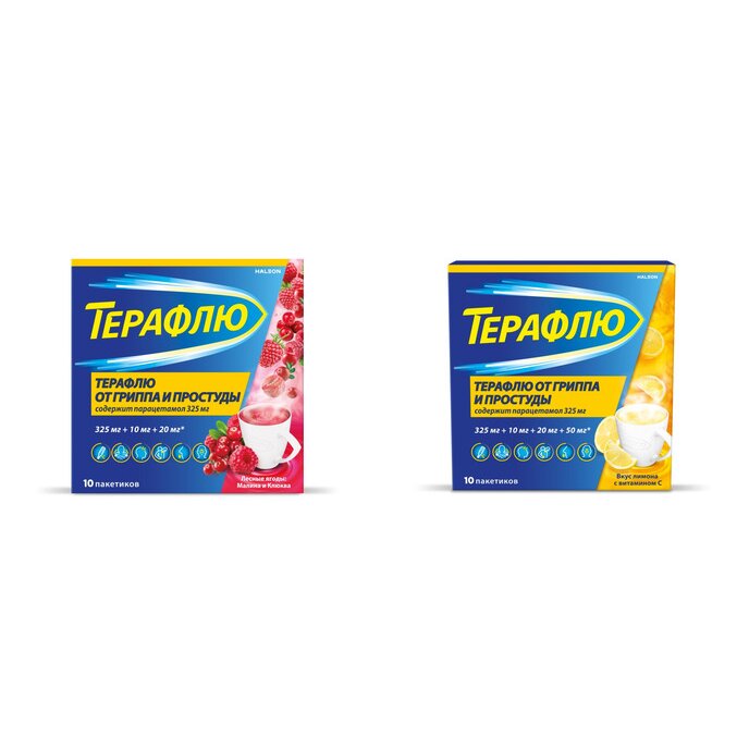 Терафлю порошок пакетики 10 шт. (любой вкус)