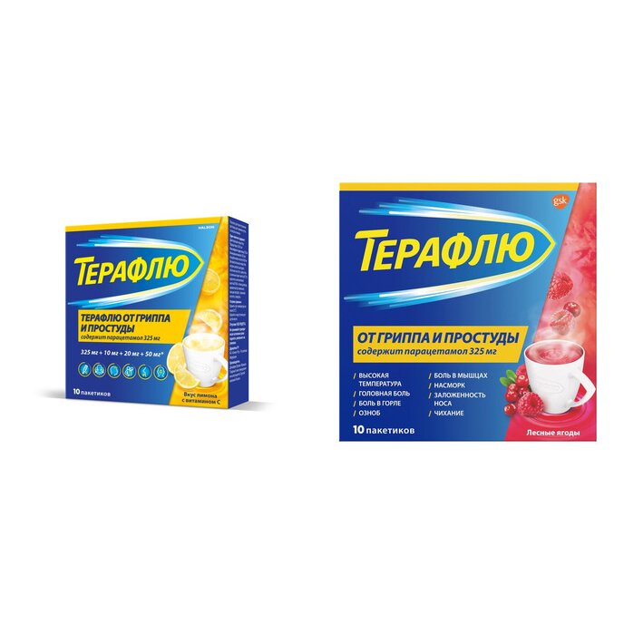 Терафлю порошок пакетики 10 шт. (любой вкус)