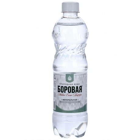 Вода минеральная Боровая питьевая лечебно-столовая сульфатно-кальциевая негаз пэт бут. 1 л