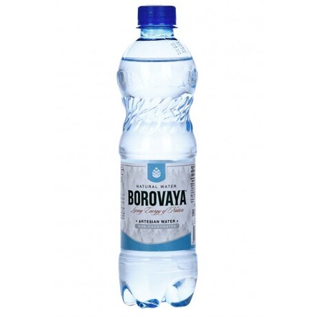 Вода минеральная Боровая питьевая природная негаз пэт бут. 0,5 л