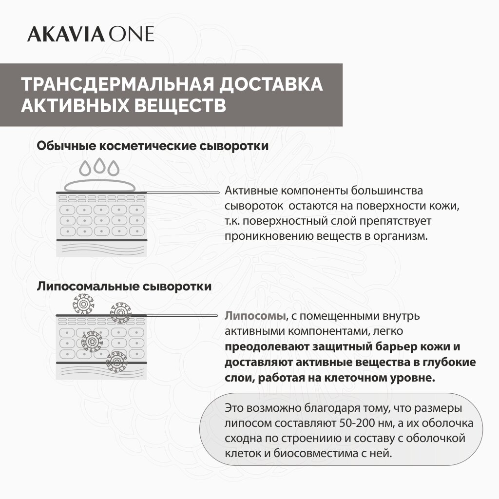 Сыворотка концентрат для лица ночная Akavia One омолаживающая и регенерирующая от морщин ампулы 12 шт. +активатор 50мл