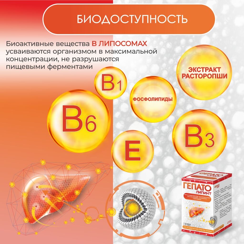 Гепатолипинт капсулы 209 мг 60 шт.