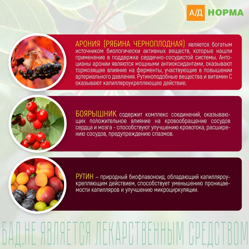 АД Норма капсулы 60 шт.