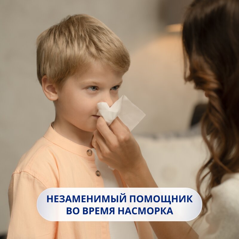 Платочки носовые Zewa Deluxe Ромашка 10x24 шт.