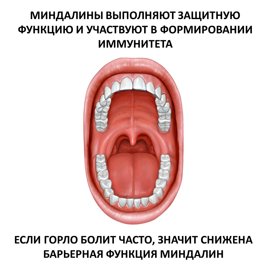 Тонзилотрен таблетки для рассасывания гомеопатические 60 шт.