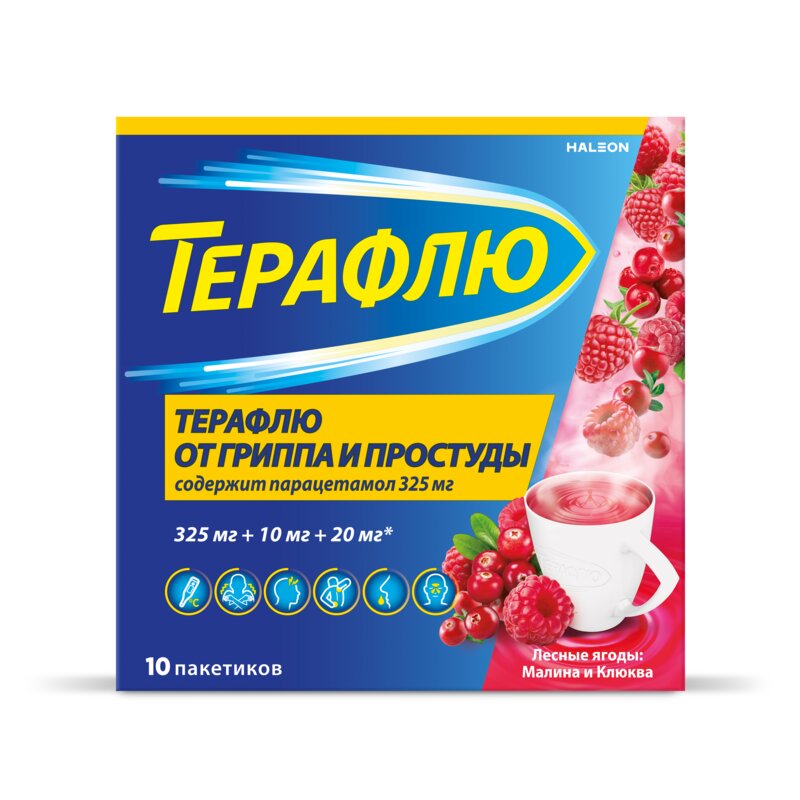 Терафлю порошок Лесные ягоды пакетики 10 шт.