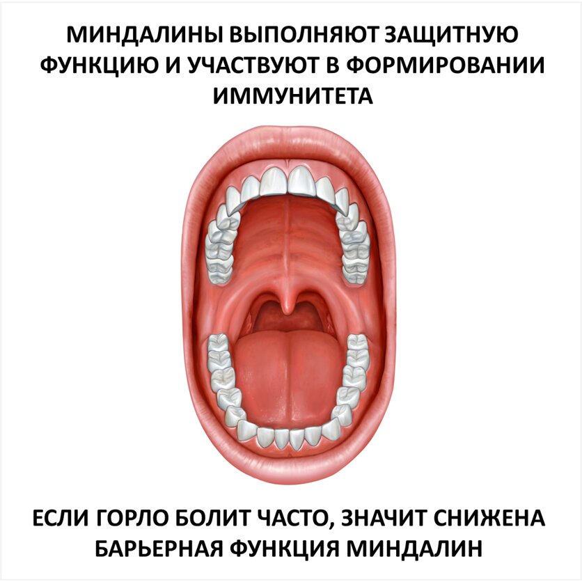 Тонзилотрен таблетки для рассасывания гомеопатические 40 шт.