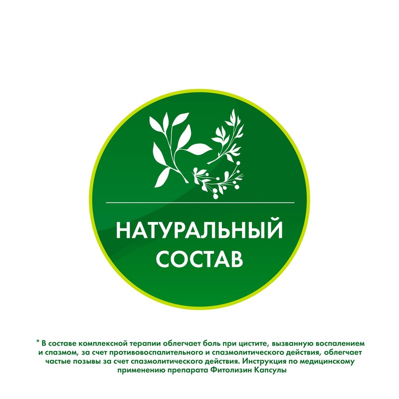 Фитолизин капсулы 40 шт.