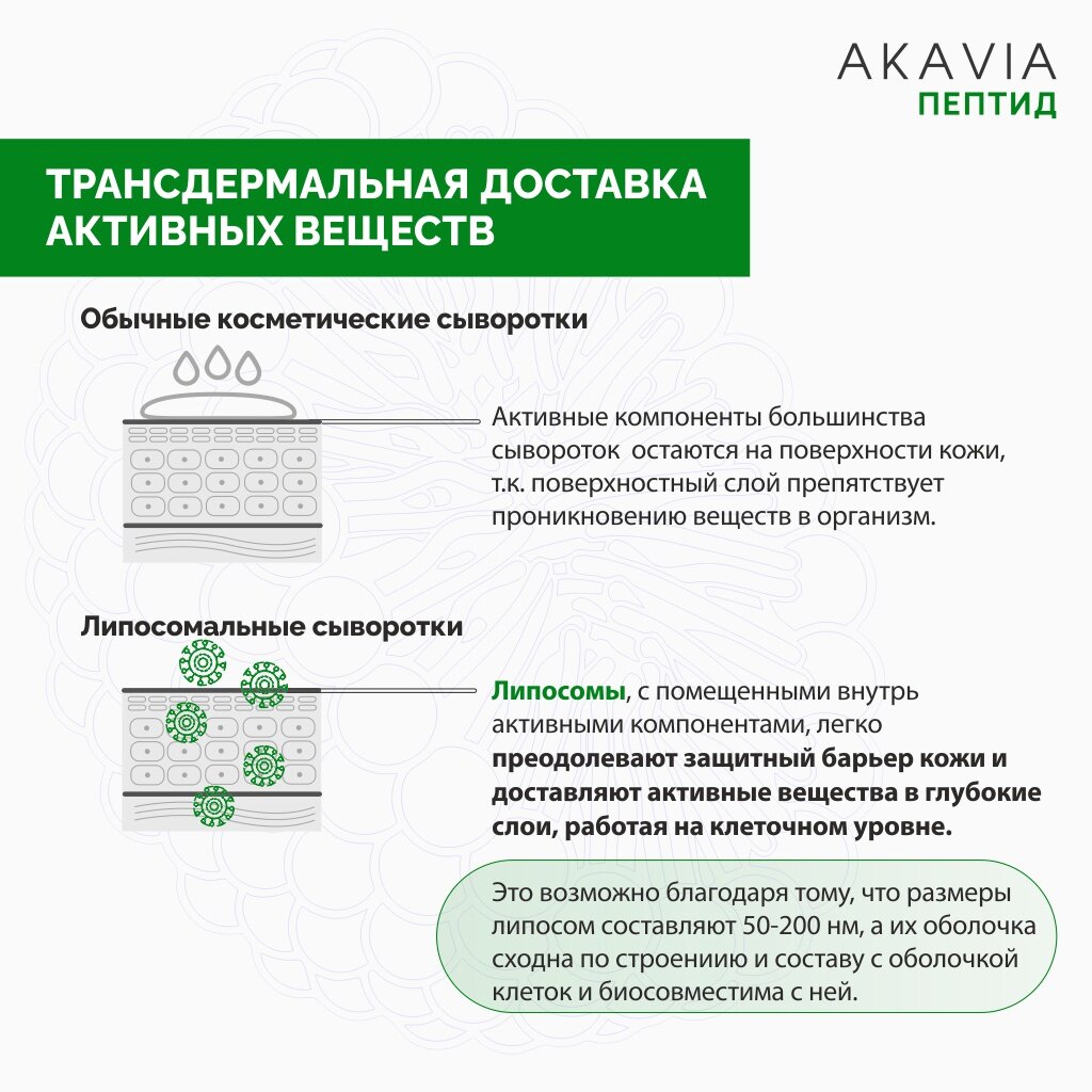 Сыворотка для лица Akavia peptide восстанавливающая с пробиотиками 12 ампул по 185 мг + активатор 1 флакон 50 мл