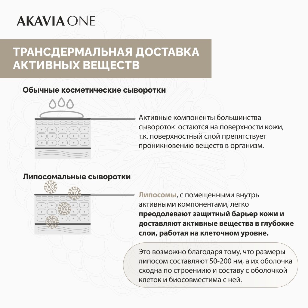 Сыворотка омолаживающая Akavia One День для интенсивного увлажнения 12 ампул по 103 мг+ активатор 1 флакон по 50 мл