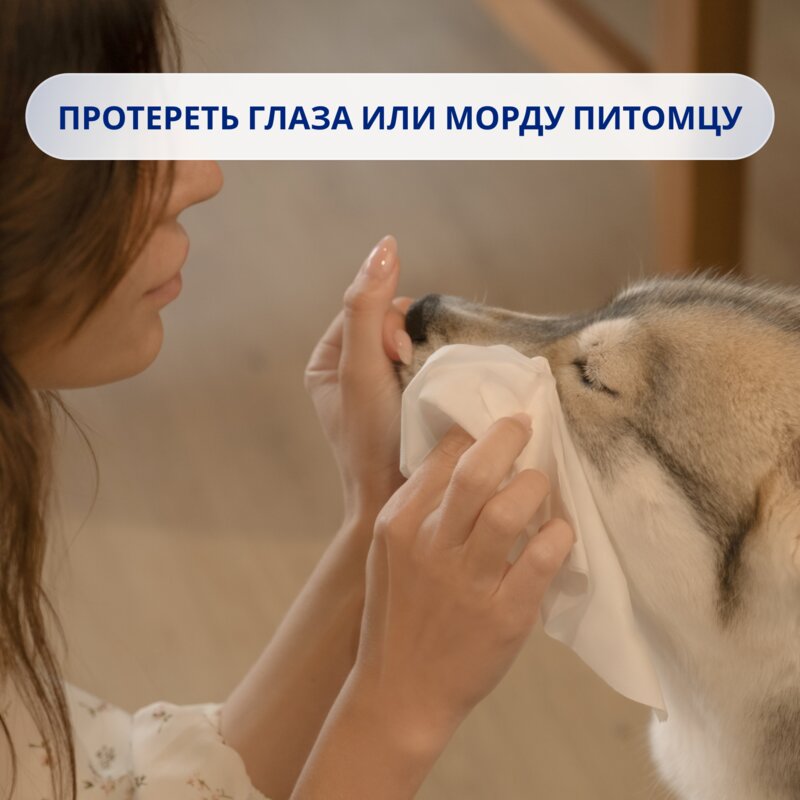 Салфетки бумажные 2-х слойные Zewa Everyday 250 шт.