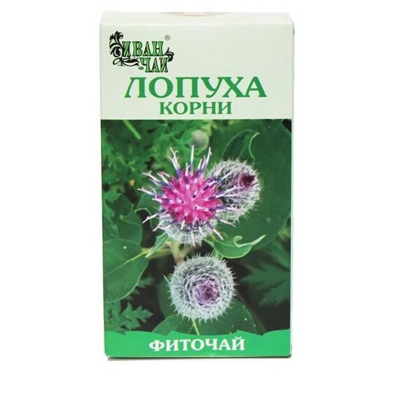 Лопуха корень