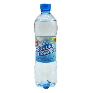 Вода питьевая негазированная Родники Поморья 0,6 л