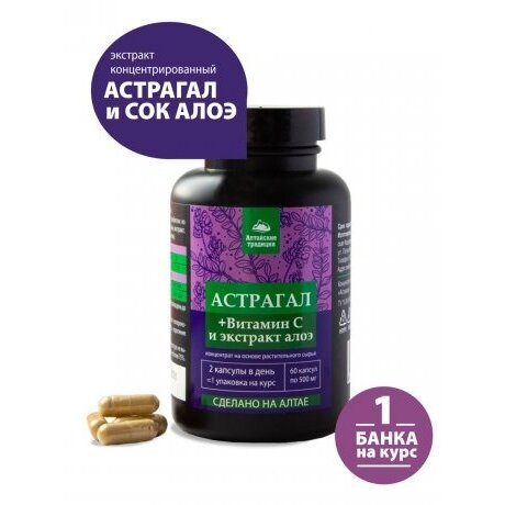 Концентрат Астрагал восстанавливающий капсулы 500 мг 60 шт.