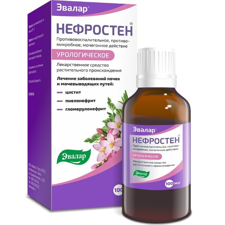 Нефростен