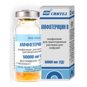 Амфотерицин В лиофилизат для приготовления раствора для инфузий 50000 мкг флакон 1 шт.