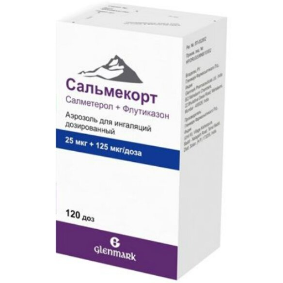 Сальмекорт аэрозоль для ингаляций 25+125 мкг/доза 120 доз