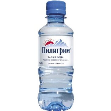 Пилигрим вода минеральная негазированная бутылка 0.25 л