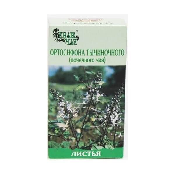 Ортосифона тычиночного (почечного чая) листья 50 г пачка 1 шт.