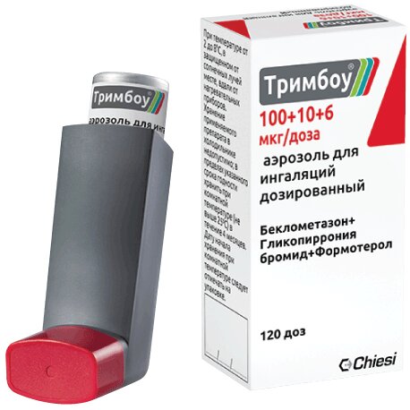 Тримбоу аэрозоль для ингаляций дозированный 100 мкг+10 мкг+6 мкг/доза 120 доз