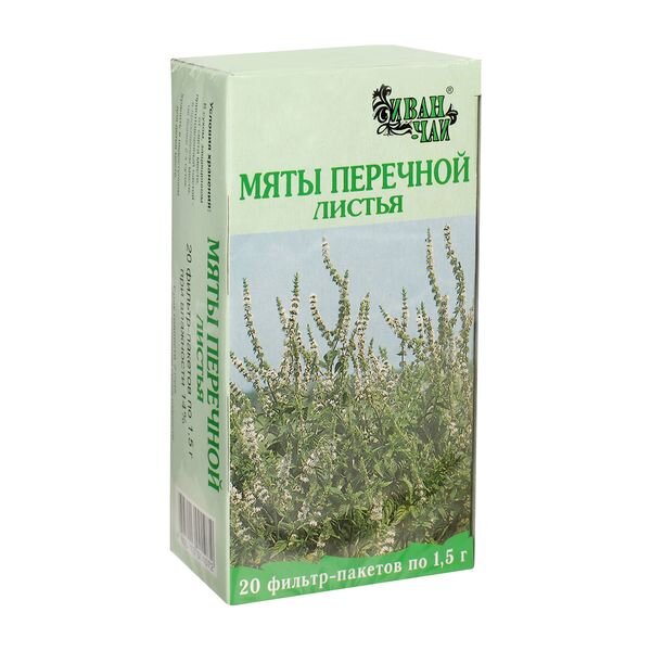 Мята